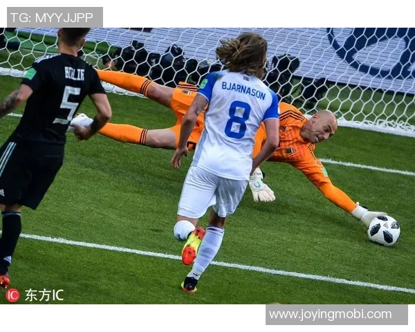 刘D足球：探索足球的魅力与激情，带你领略赛场上的精彩瞬间与团队精神